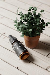 A small terracotta pot with a lush green plant sits on a light wooden plank surface, next to a dark-colored dropper bottle labeled 'MF' lying on its side. The plant's leaves are round and densely packed, contrasting with the sleek, modern design of the bottle.