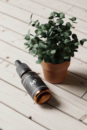 A small terracotta pot with a lush green plant sits on a light wooden plank surface, next to a dark-colored dropper bottle labeled 'MF' lying on its side. The plant's leaves are round and densely packed, contrasting with the sleek, modern design of the bottle.