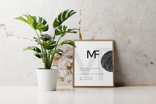 A modern interior setup featuring a potted green plant and a framed poster resting on the floor against a light-colored, marble-patterned wall. The plant is lush with large, vibrant leaves, adding a touch of nature to the space. The poster has minimalistic text and design elements, including a bold 'MF' and some abstract graphics.