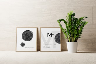 a potted plant next to two framed art prints