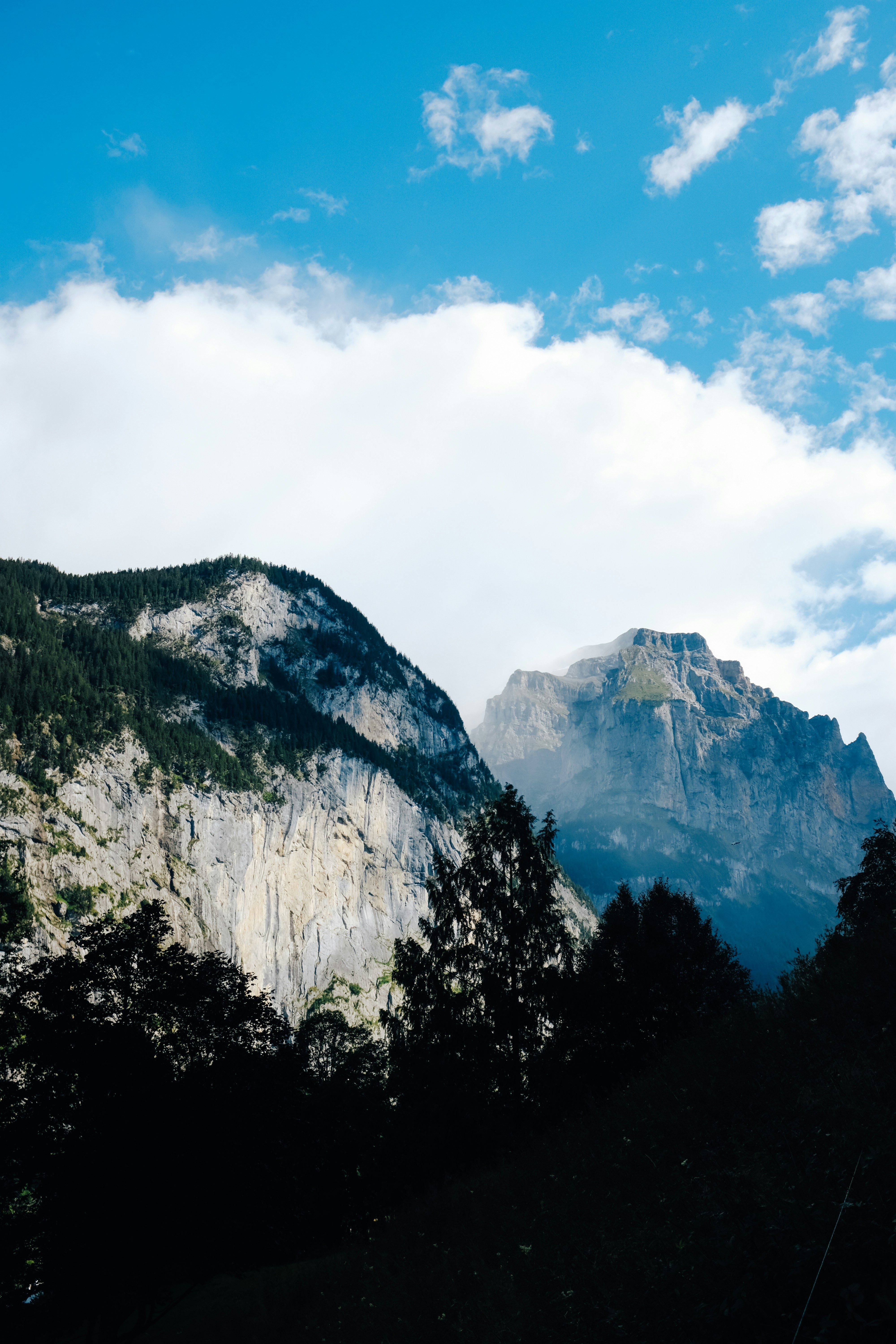 Photo by adrienolichon