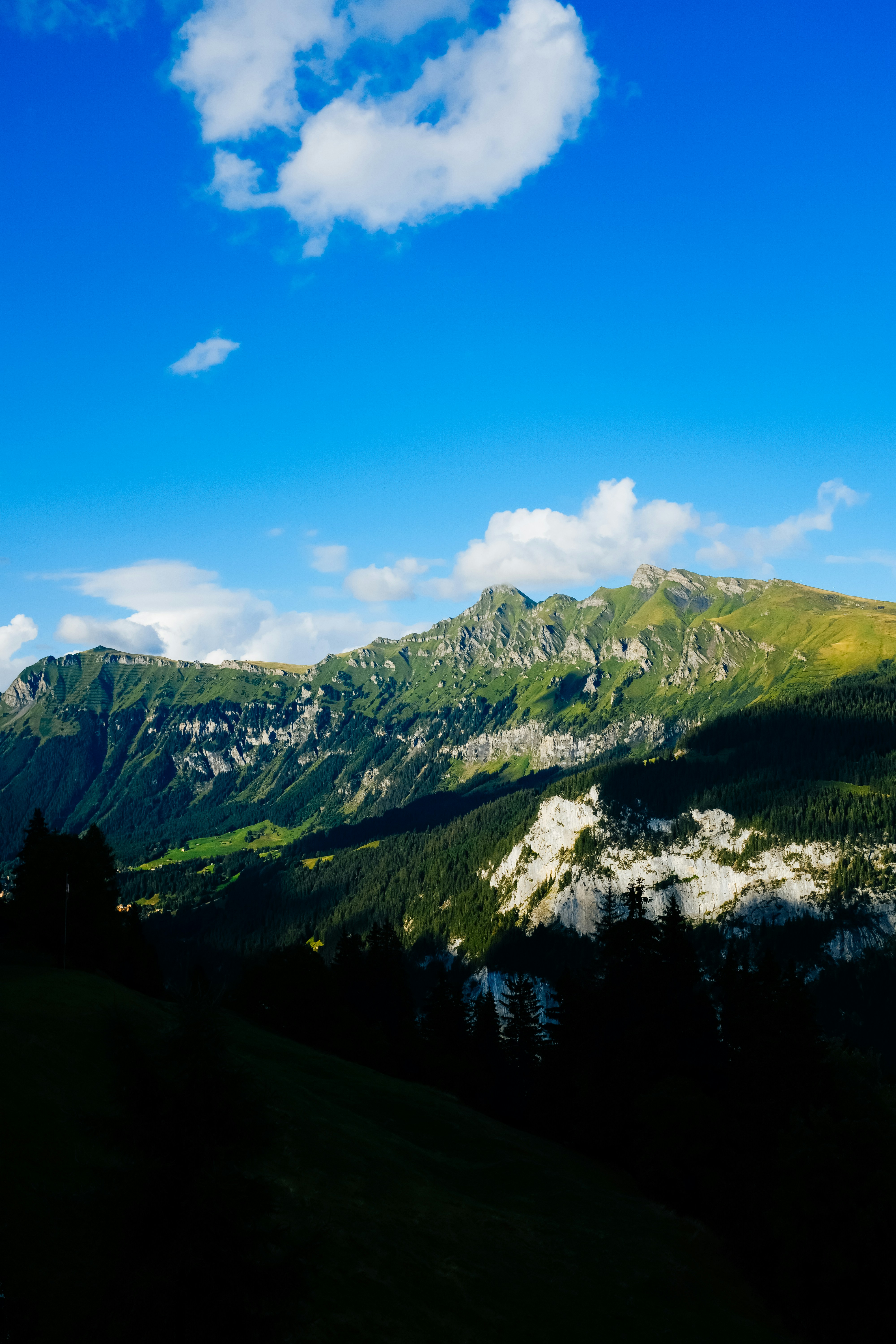 Photo by adrienolichon