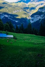 A green landscape with solar panels and mining operations in harmony with nature.