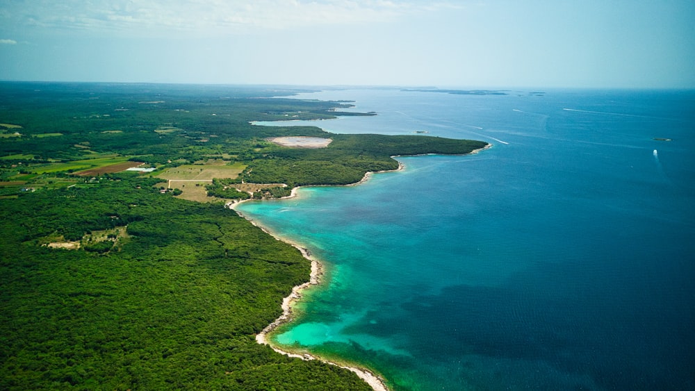 an aerial view of a beach and a body of water