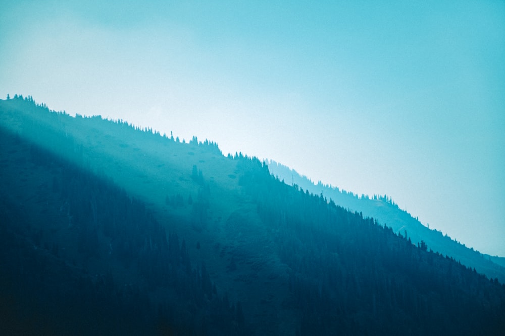 a mountain covered in trees under a blue sky