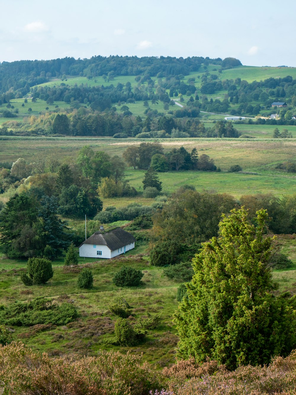 a white house in a green field surrounded by trees