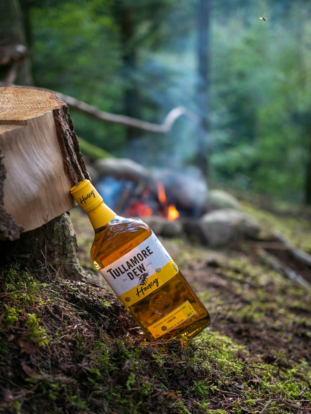 a bottle of liquor sitting on top of a tree stump
