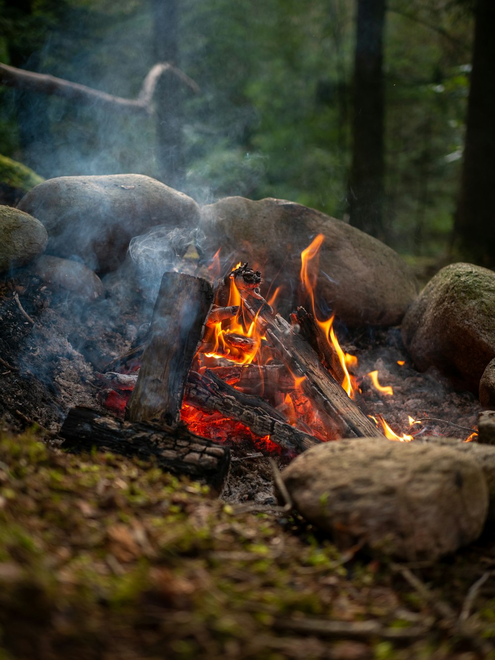 a campfire in the middle of a forest