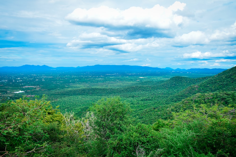 a view of a lush green valley surrounded by mountains