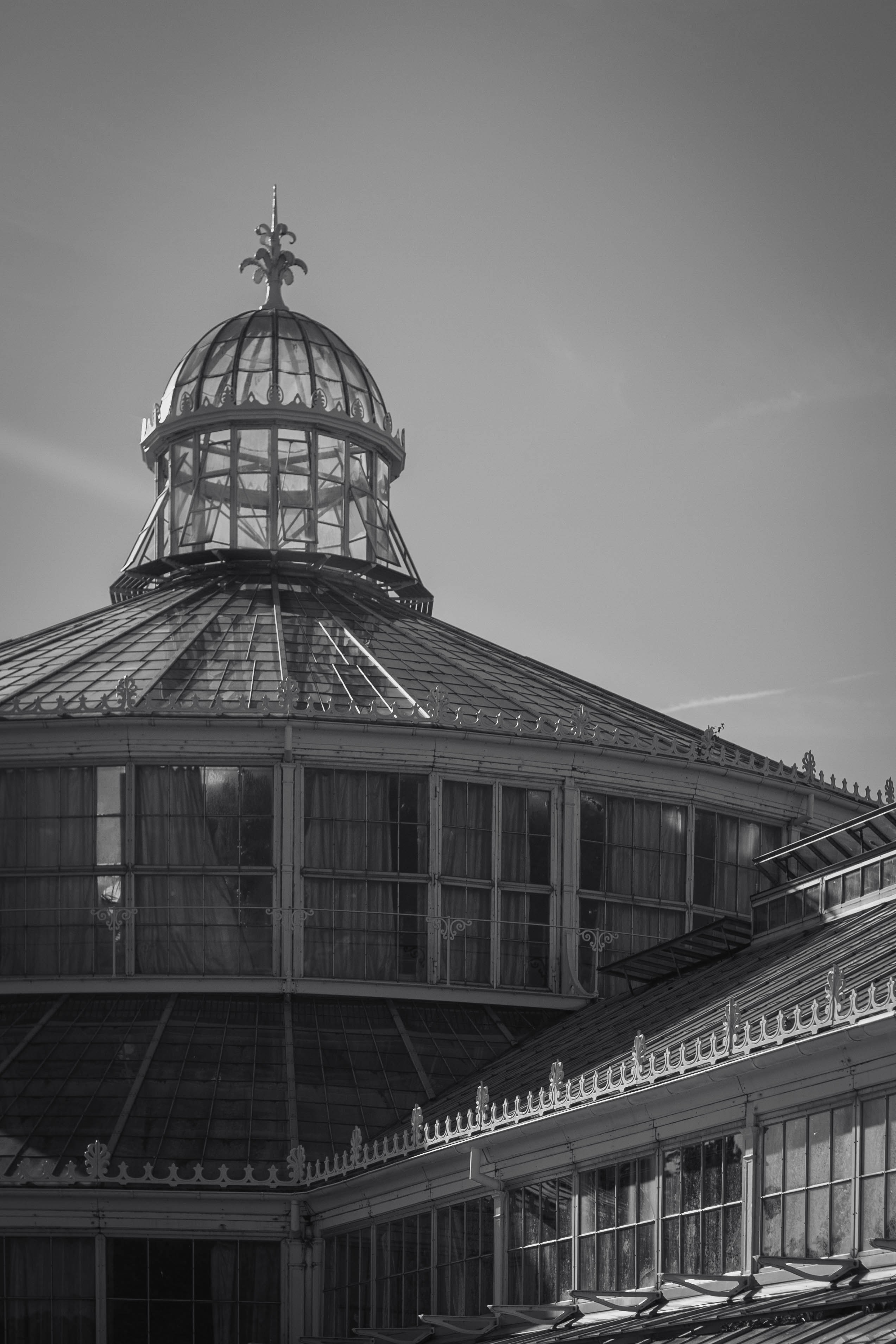 Photo by infernisvox