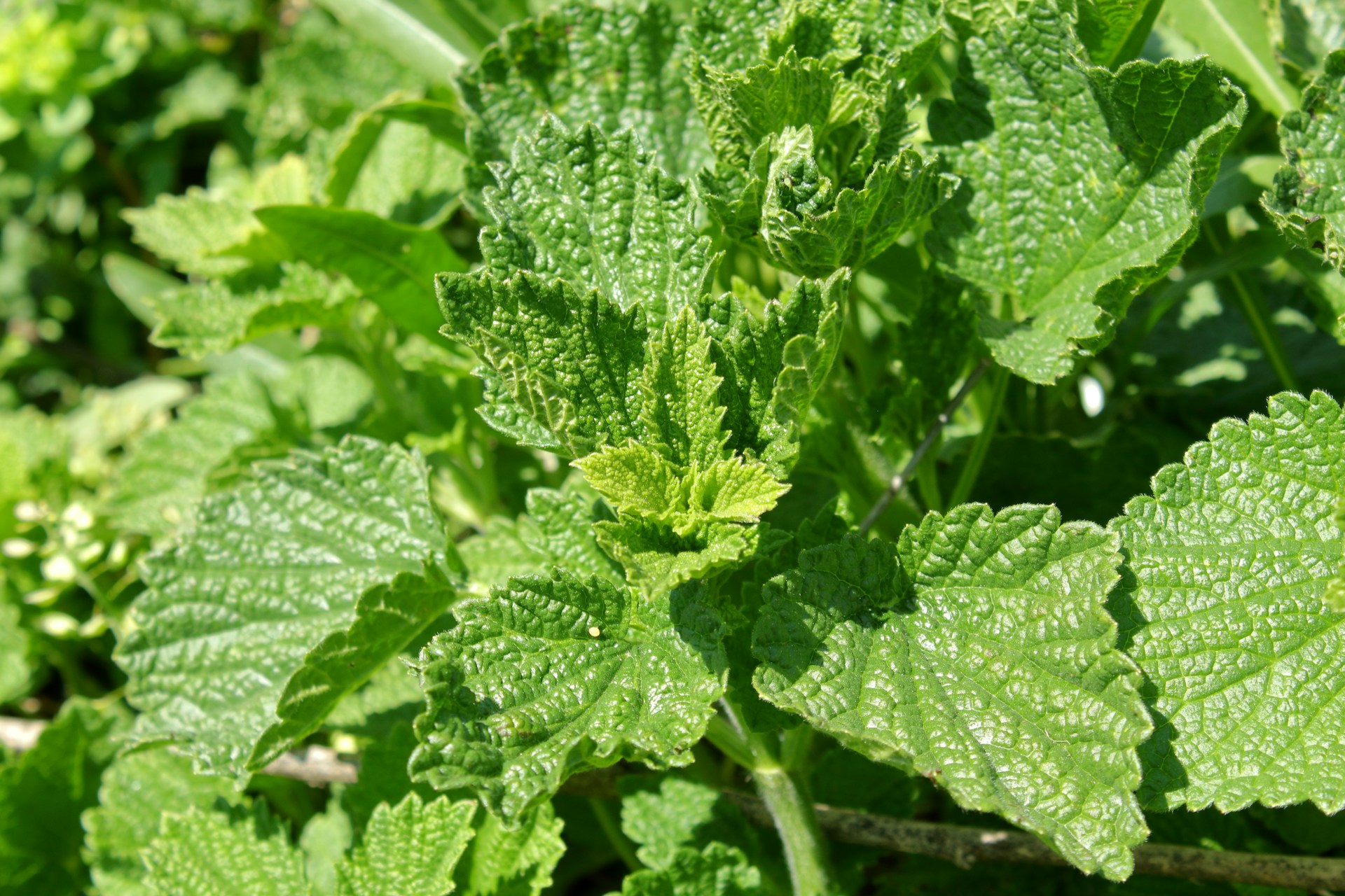 woman wearing yellow long-sleeved dress under white clouds and blue sky during daytime