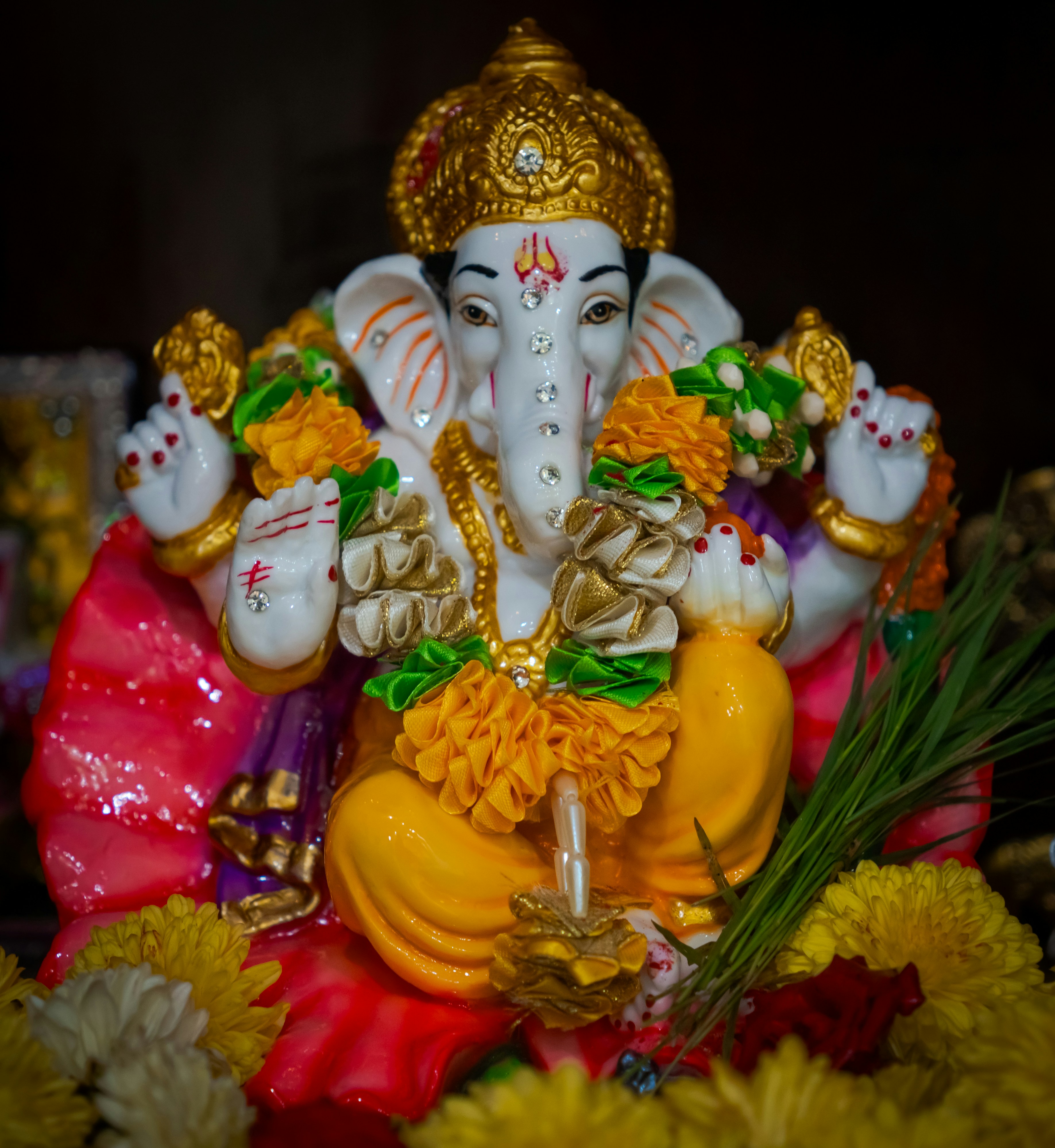 Photo by neerajkpramanik