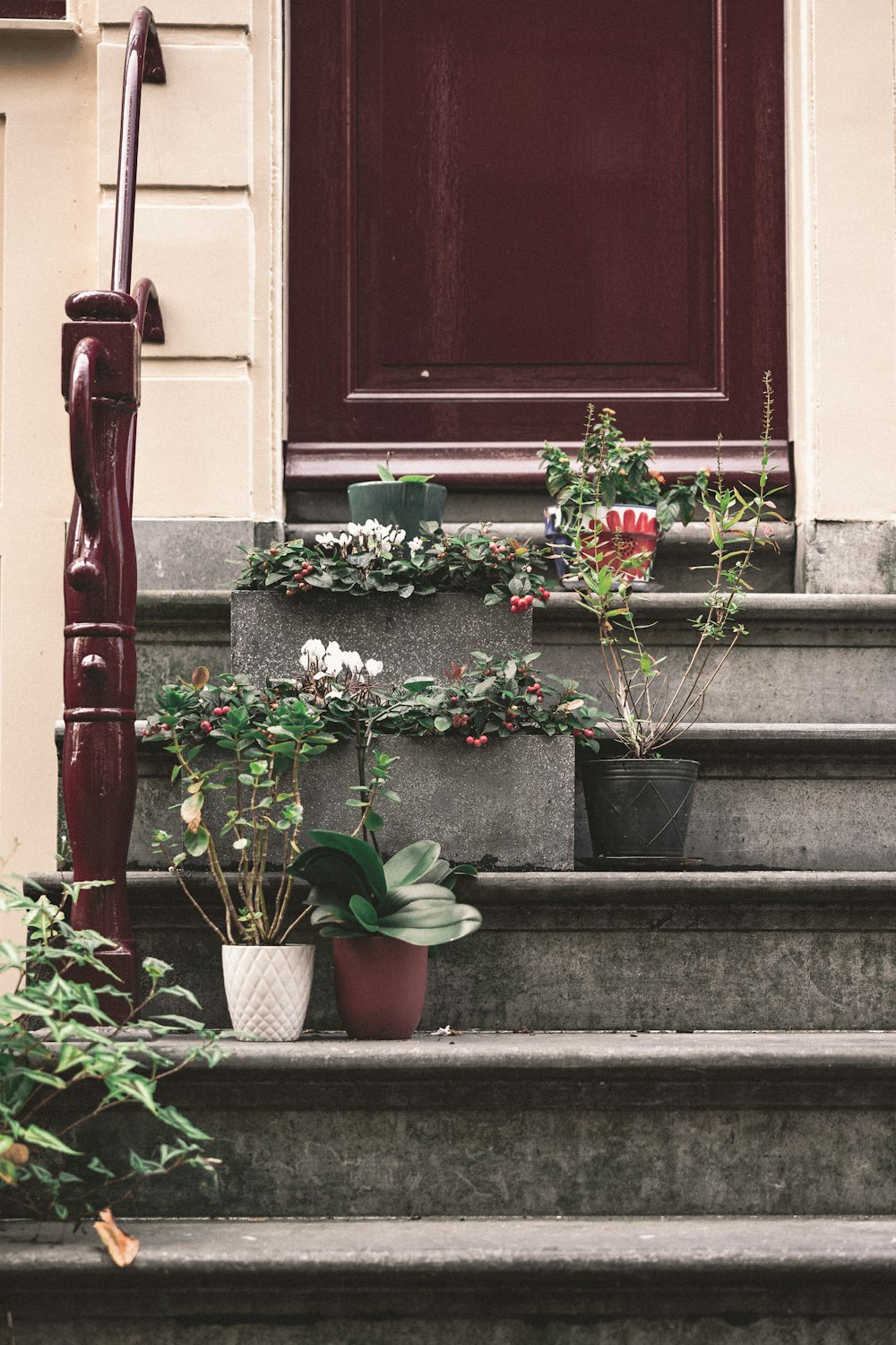 a bunch of plants that are sitting on some steps