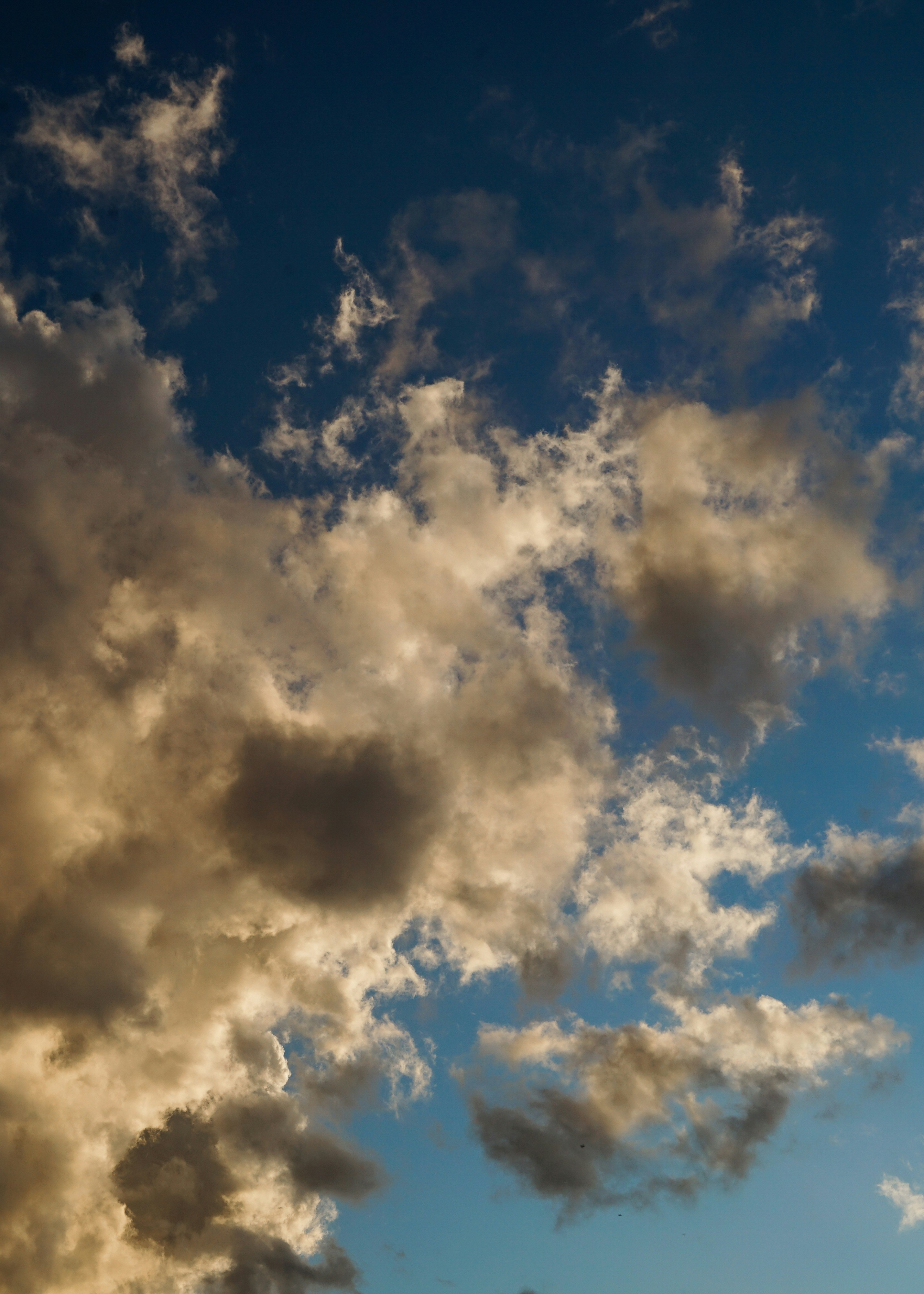 Photo by floriancordier