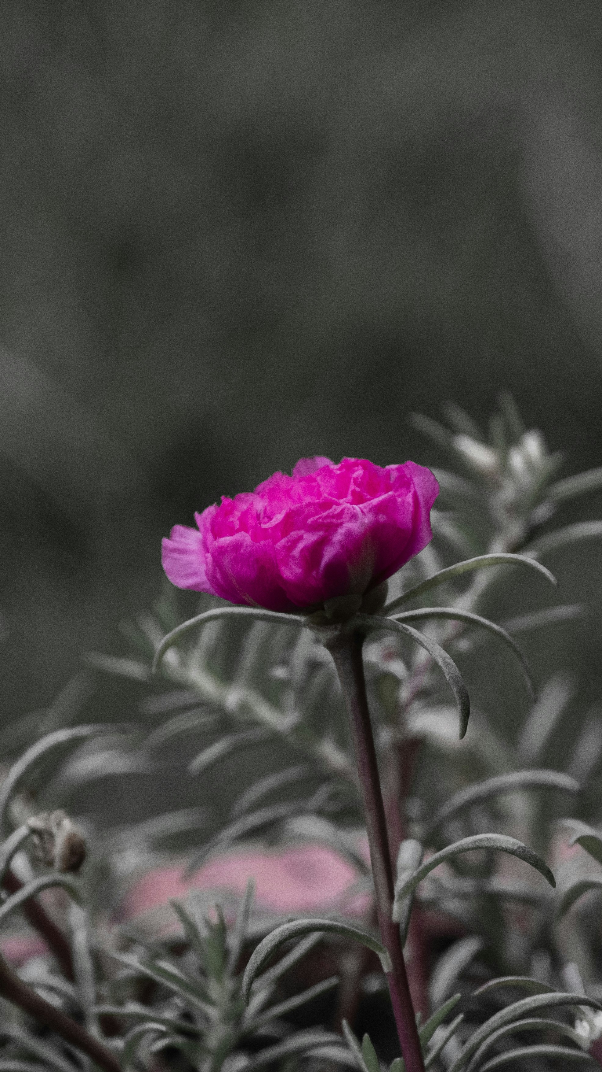 Photo by directorvin