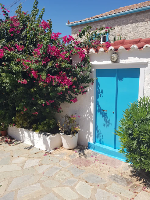 Charming courtyard with blooming bougainvillea and colorful doors typical of Symi architecture