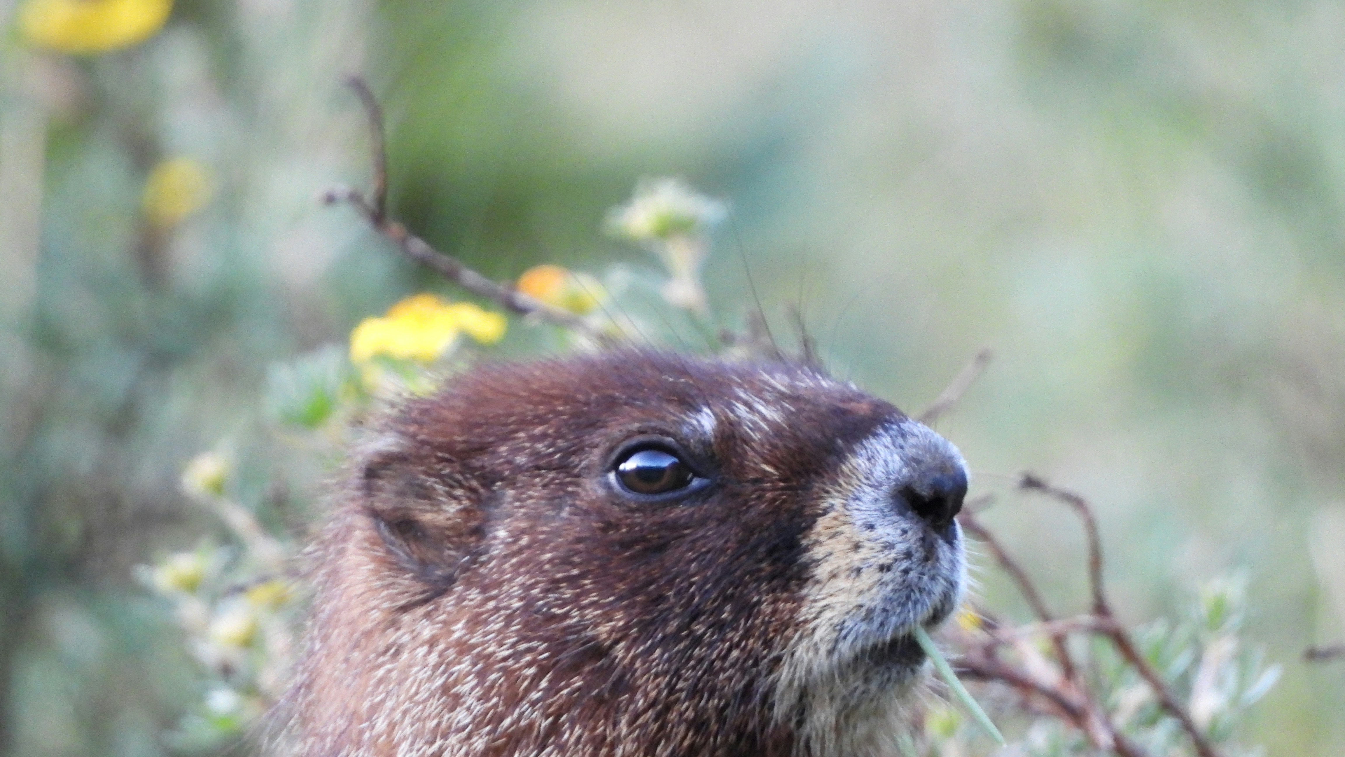 Photo by evergreene24