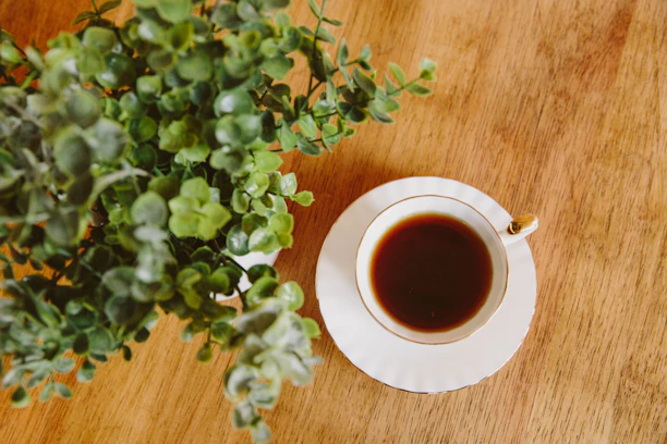 Close-up of a lush green plant beside a rustic coffee mug on a wooden table.