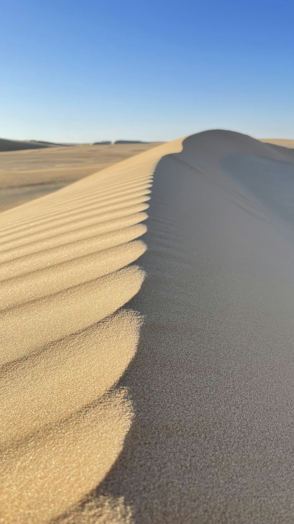 a sand dune in the middle of a desert