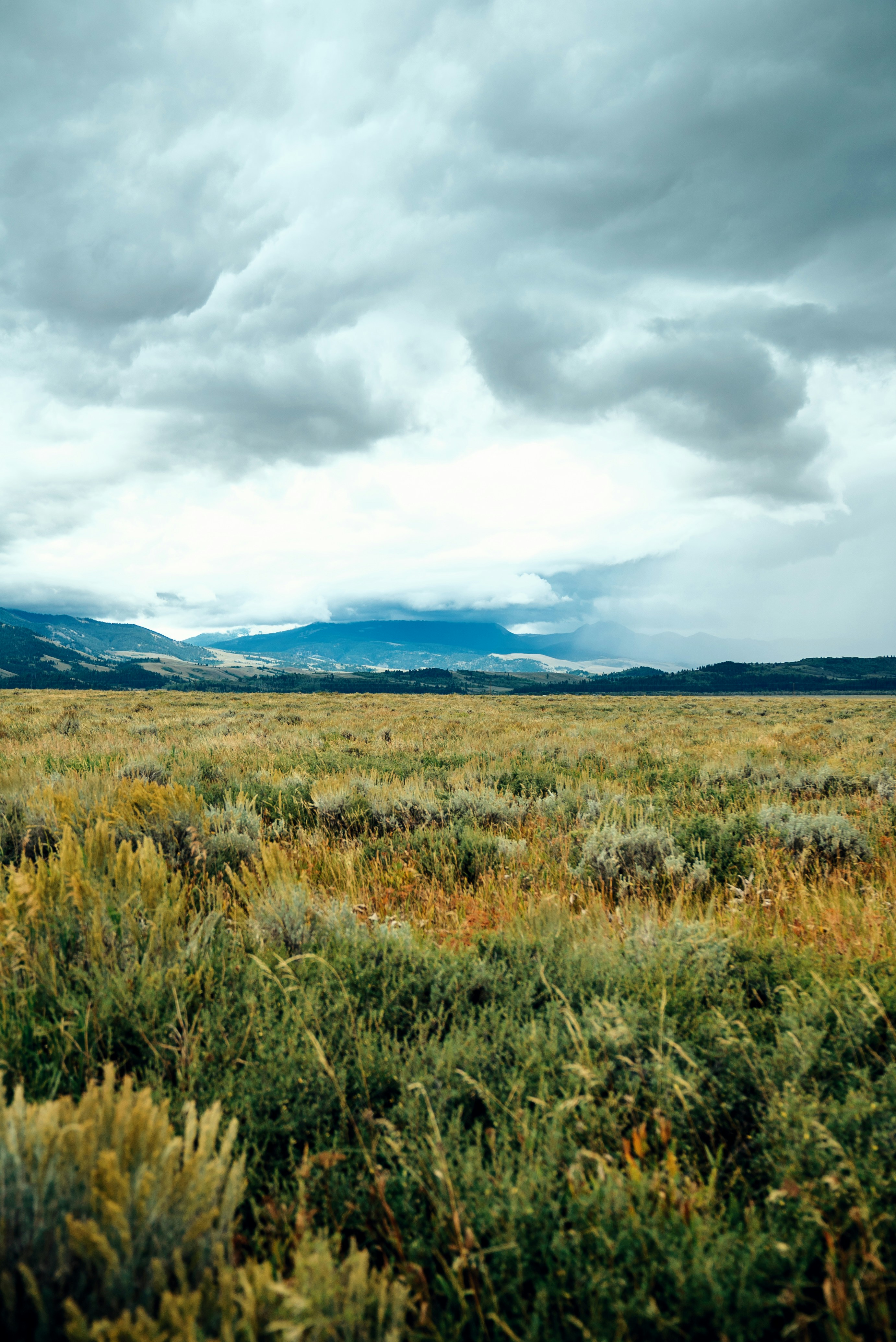 Photo by evanthewise