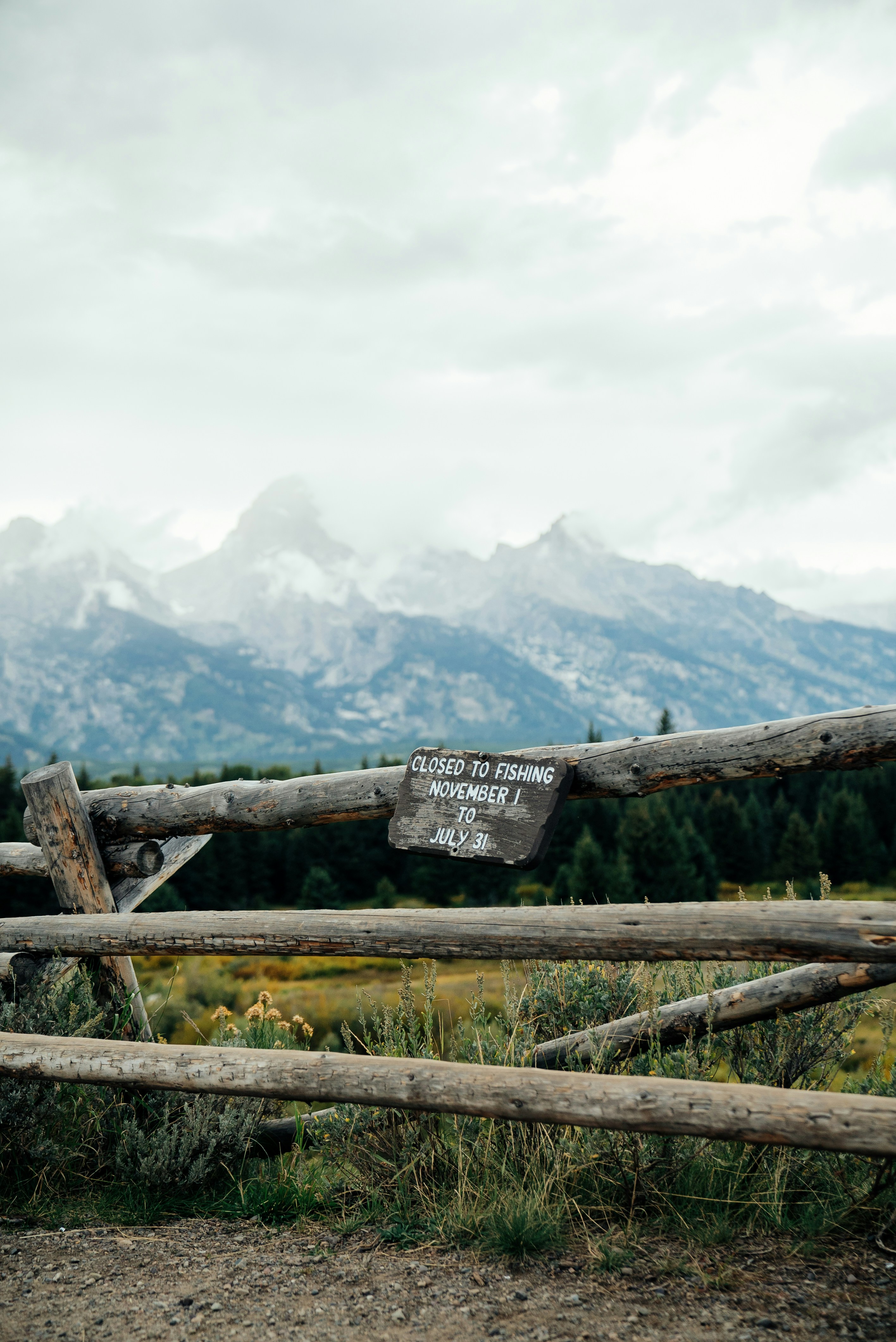 Photo by evanthewise