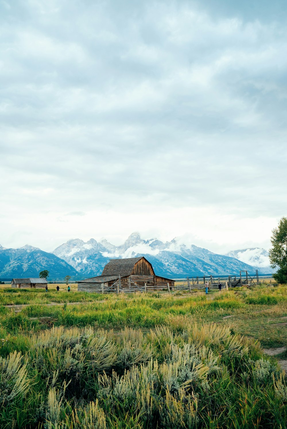 a barn in a field with mountains in the background