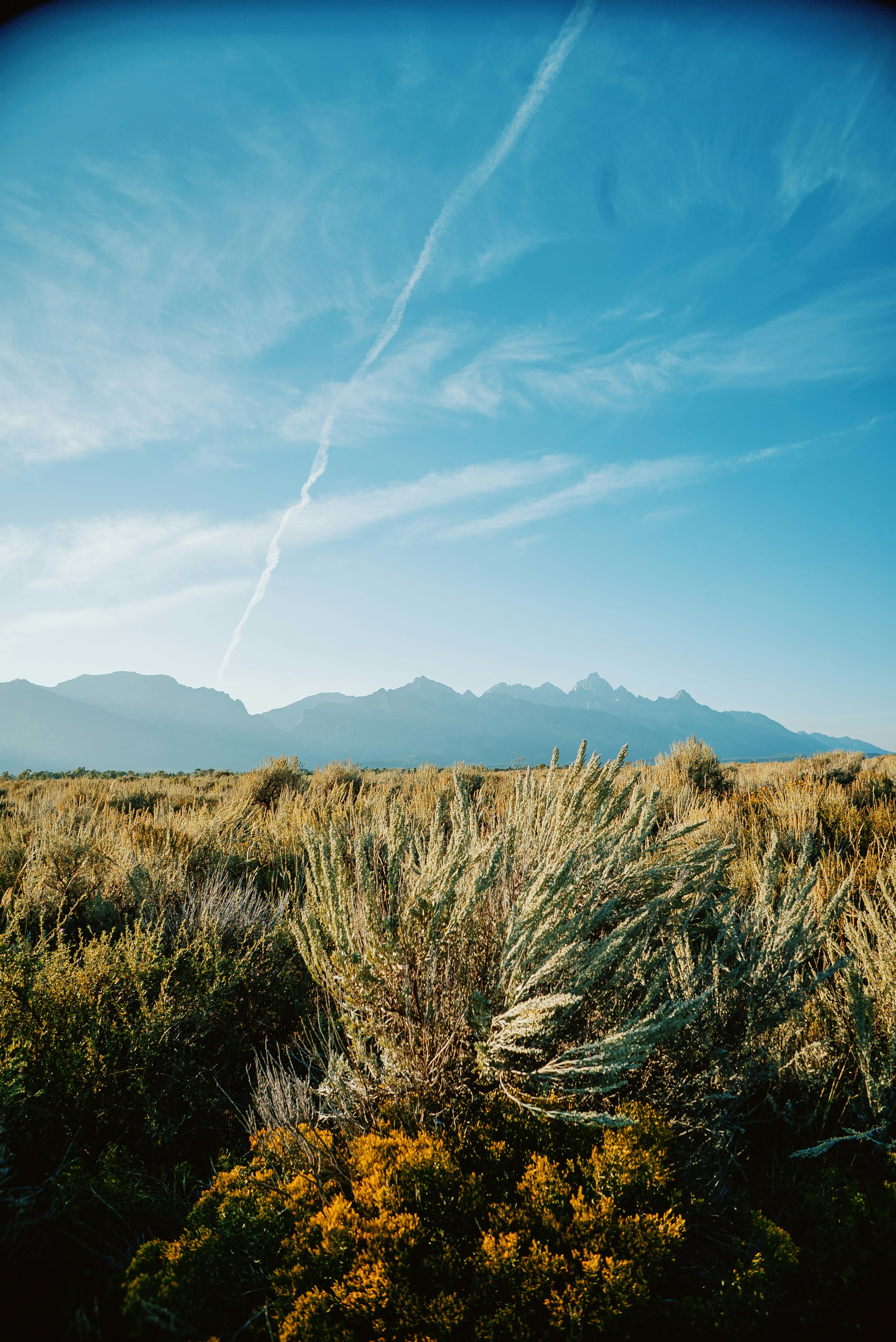 Photo by evanthewise