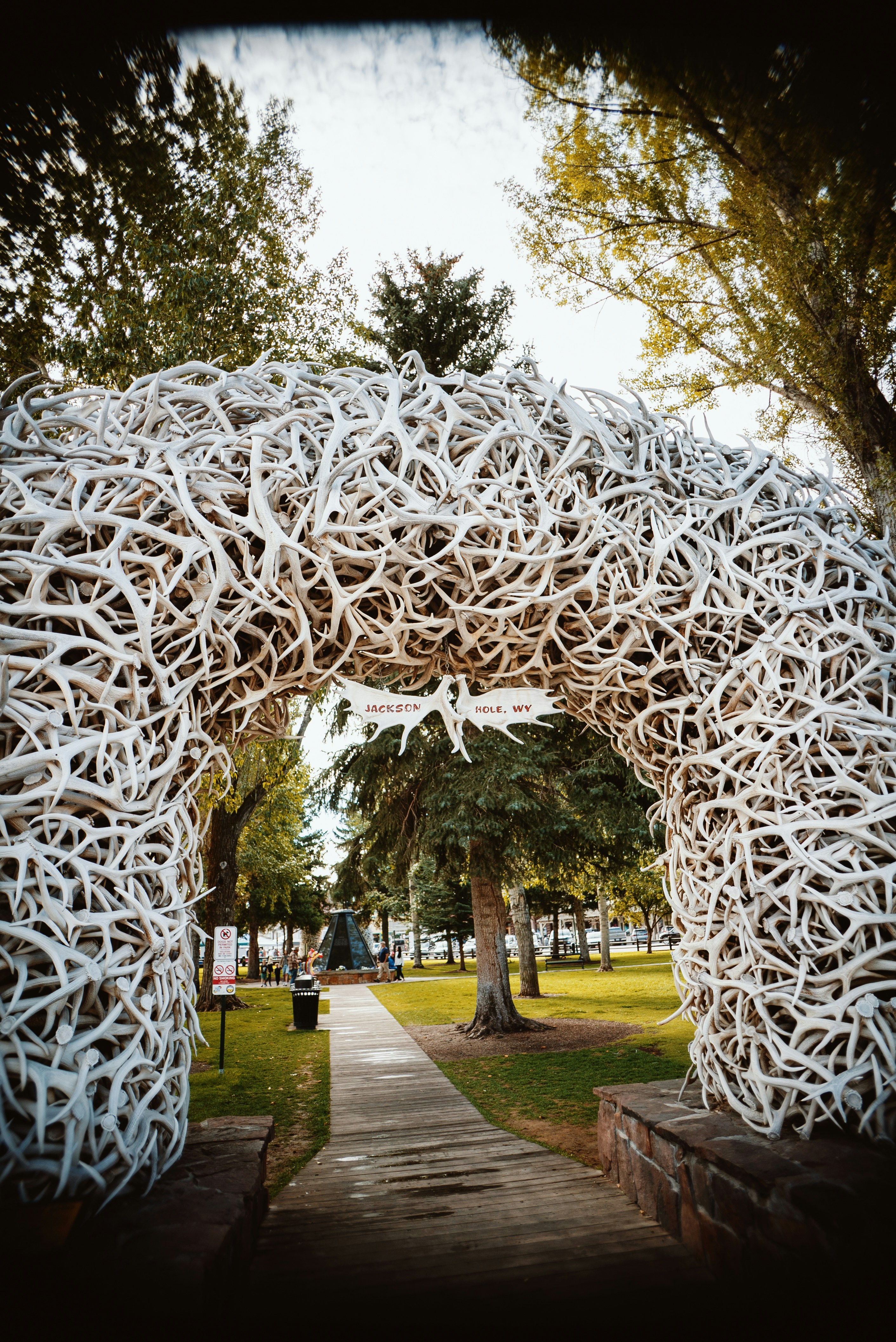 a sculpture made out of white branches in a park