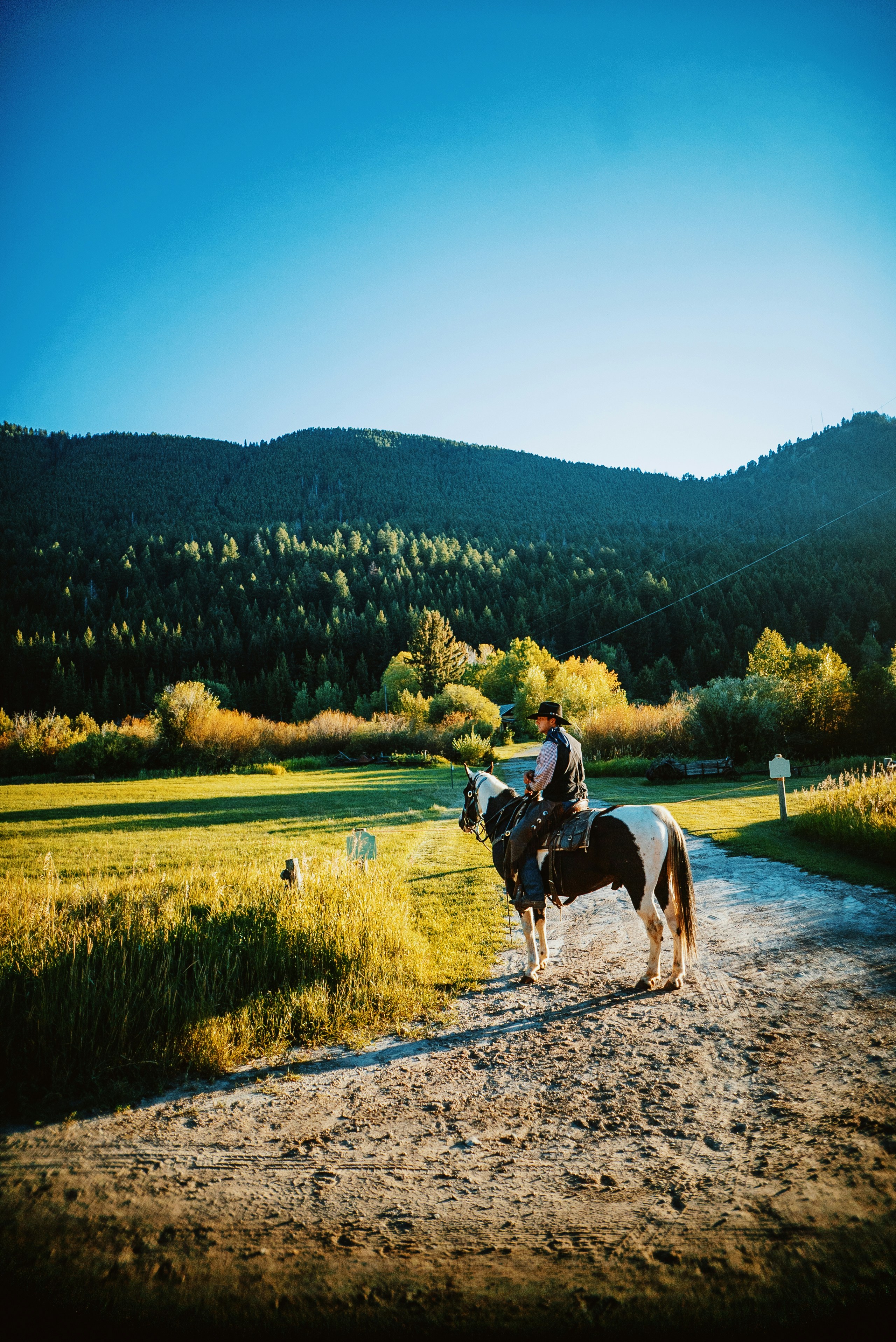 Reitabenteuer buchen