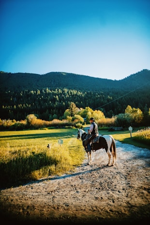 A person wearing cowboy attire rides a horse along a dirt path surrounded by lush greenery and trees at the foothills of a mountain range. The scene is bathed in the warm light of a setting or rising sun, casting long shadows and highlighting the vibrant natural environment.