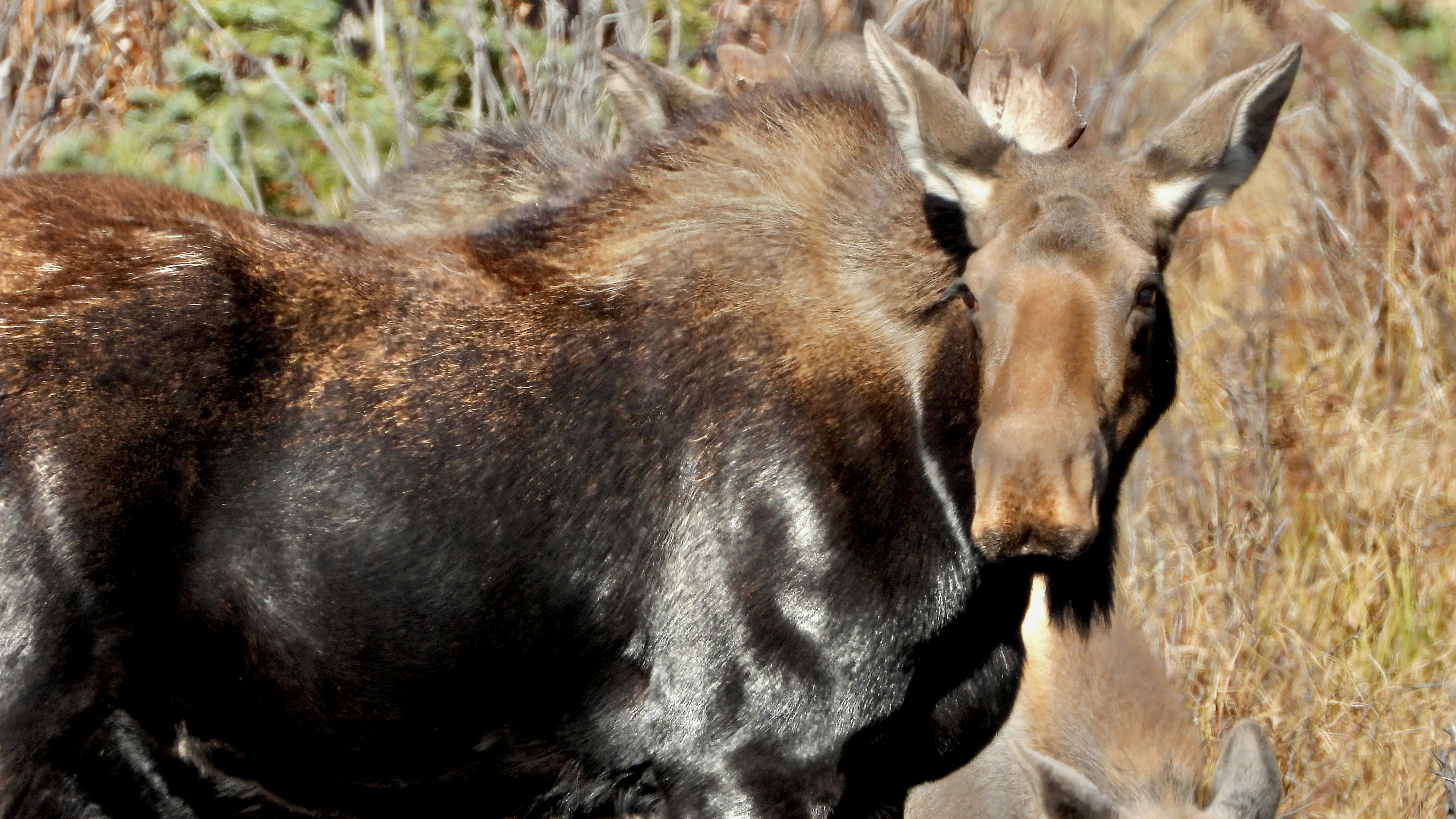 Photo by evergreene24