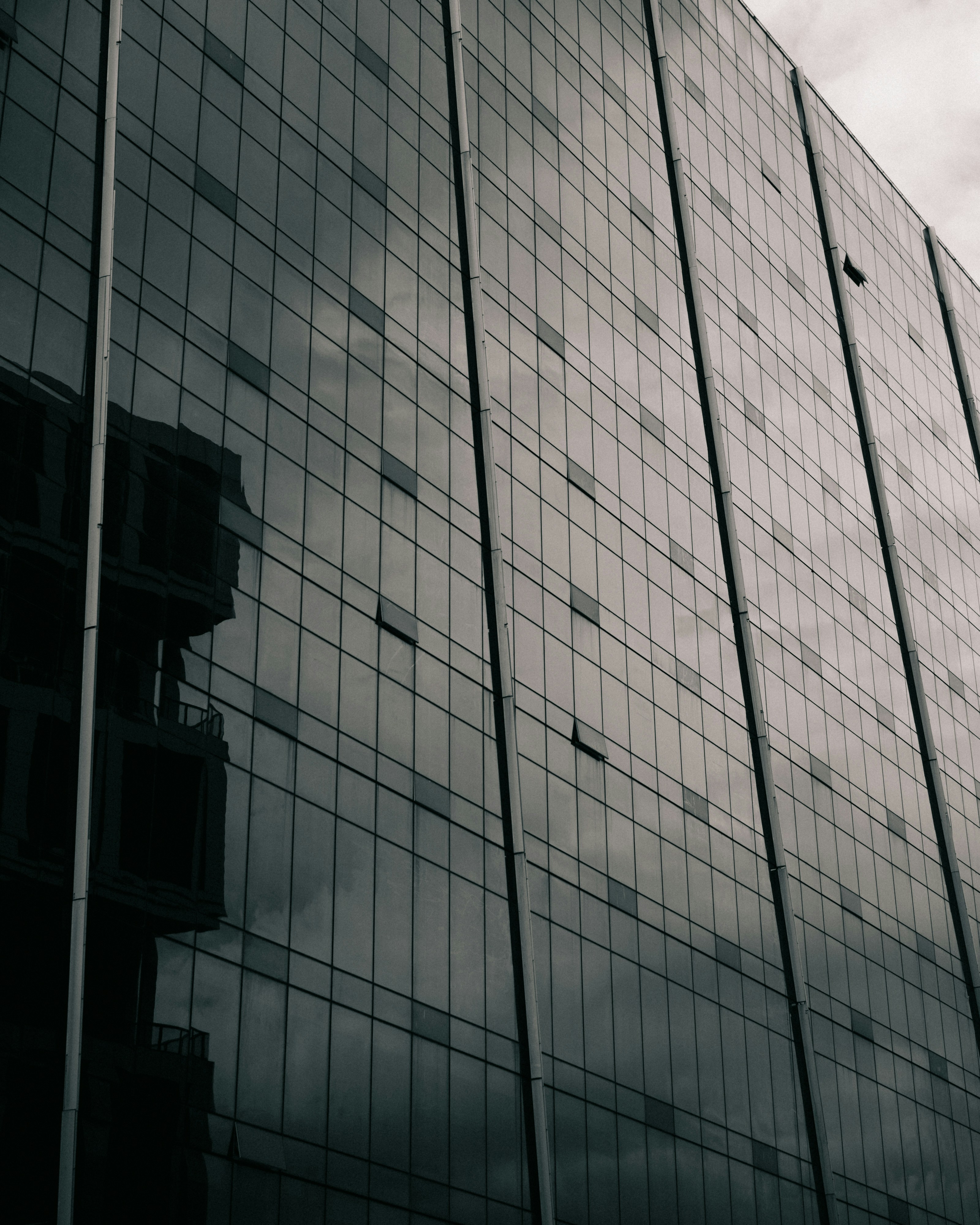 Photo by sbellocillo