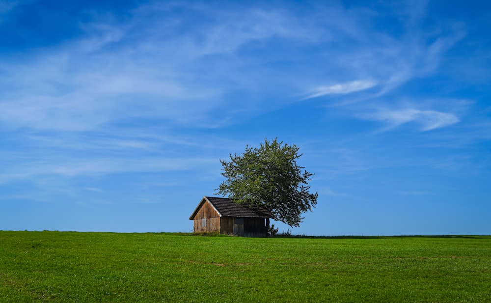 a small house in a field with a tree in the foreground