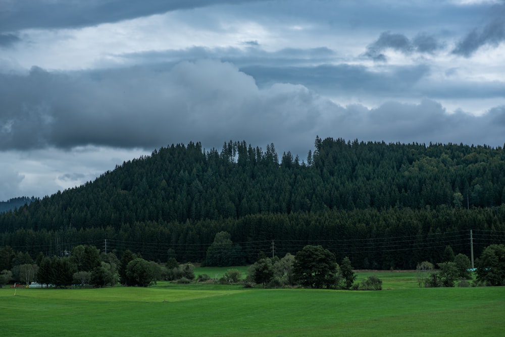 a green field with a mountain in the background