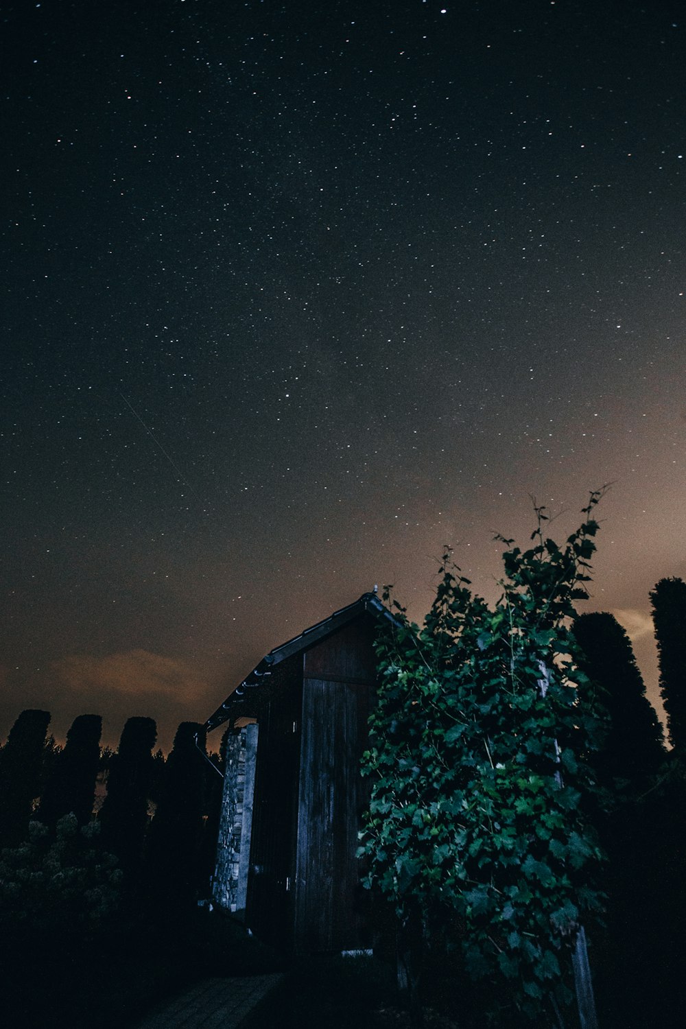 the night sky with stars above a small cabin