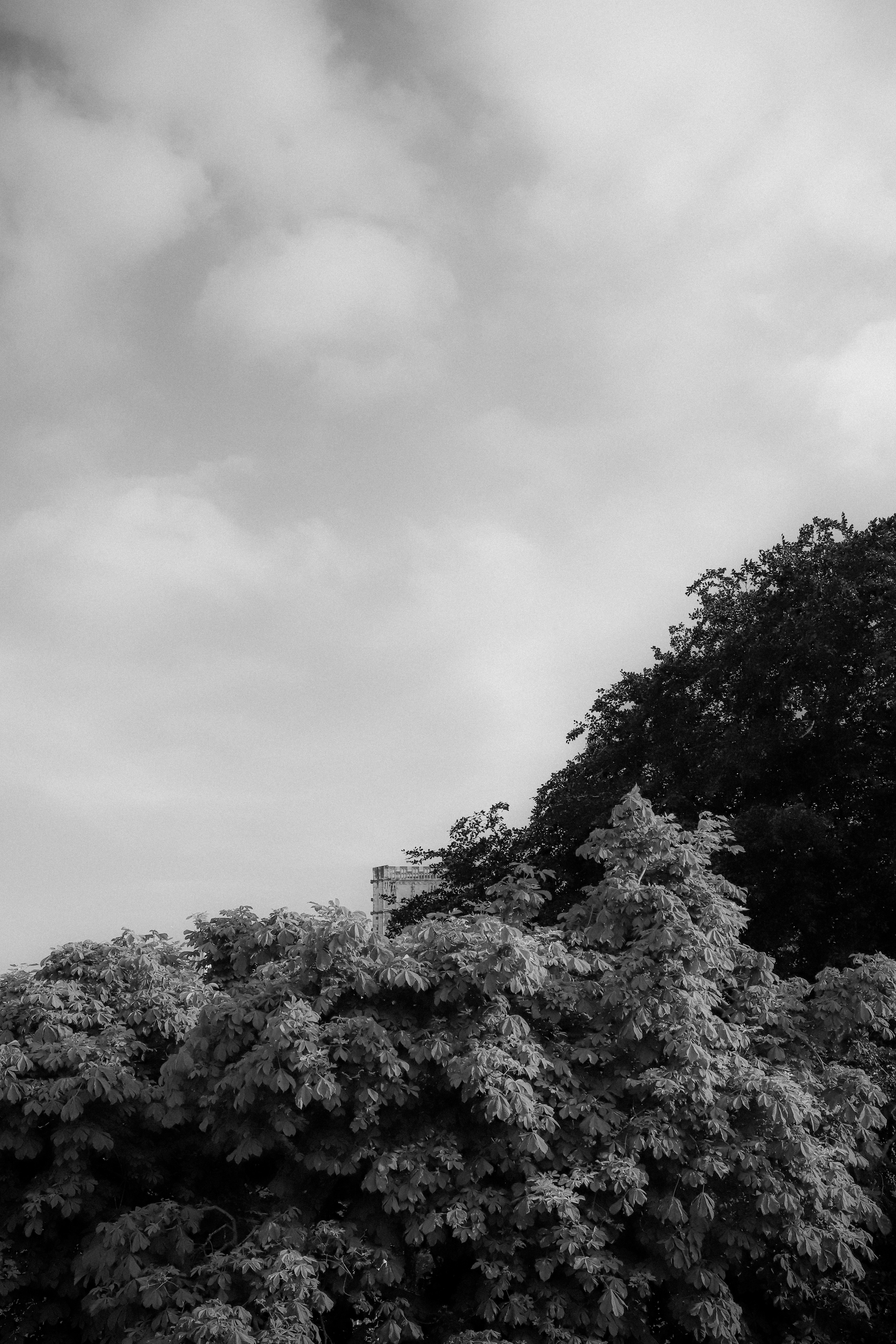 Photo by andysong1023