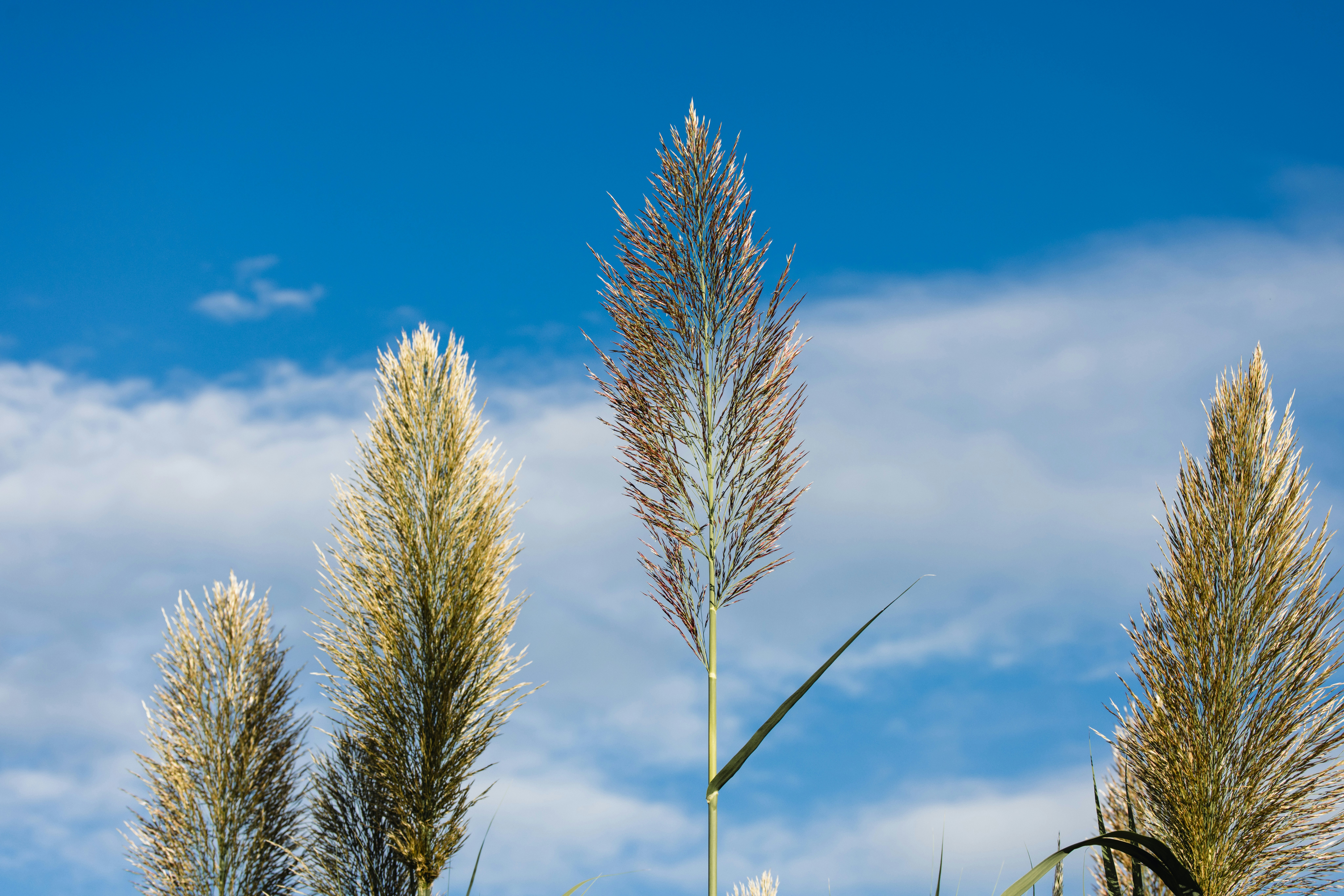 Photo by dickenslin76