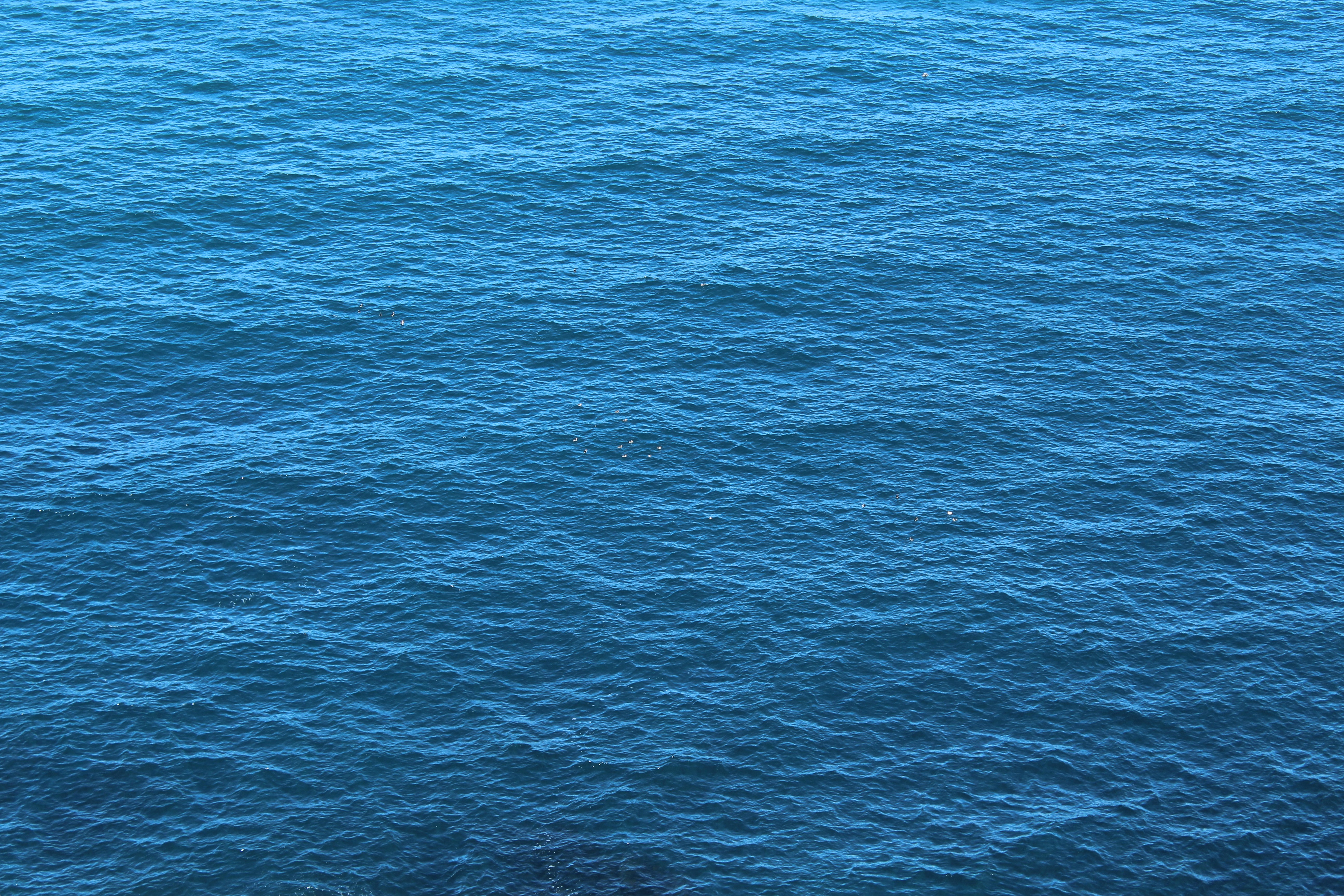 Photo by ben_everett