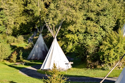 Several tipi tents are situated in a lush, green forest environment. A winding gravel path leads through the area, surrounded by dense foliage and trees. The scene is serene and sunlit, with some shadows creating a dappled effect on the grass.