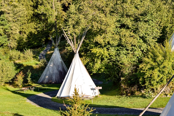 Several tipi tents are situated in a lush, green forest environment. A winding gravel path leads through the area, surrounded by dense foliage and trees. The scene is serene and sunlit, with some shadows creating a dappled effect on the grass.