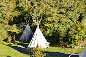 Several tipi tents are situated in a lush, green forest environment. A winding gravel path leads through the area, surrounded by dense foliage and trees. The scene is serene and sunlit, with some shadows creating a dappled effect on the grass.