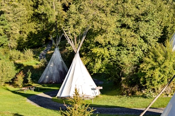 Several tipi tents are situated in a lush, green forest environment. A winding gravel path leads through the area, surrounded by dense foliage and trees. The scene is serene and sunlit, with some shadows creating a dappled effect on the grass.