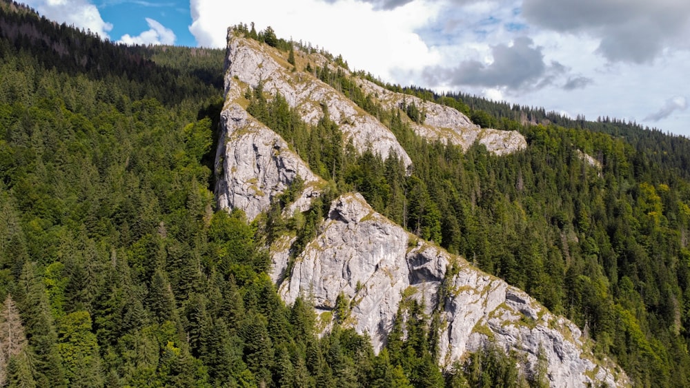 a very tall mountain covered in lots of trees