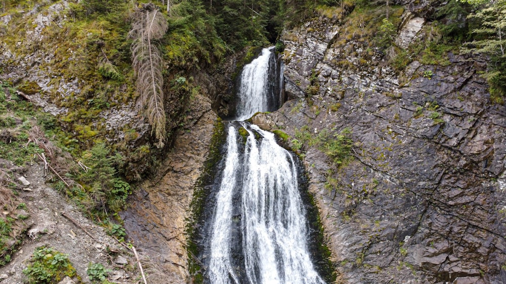 a waterfall in the middle of a forest