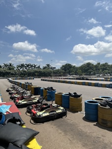 Group of friends enjoying kart racing under sunny skies.