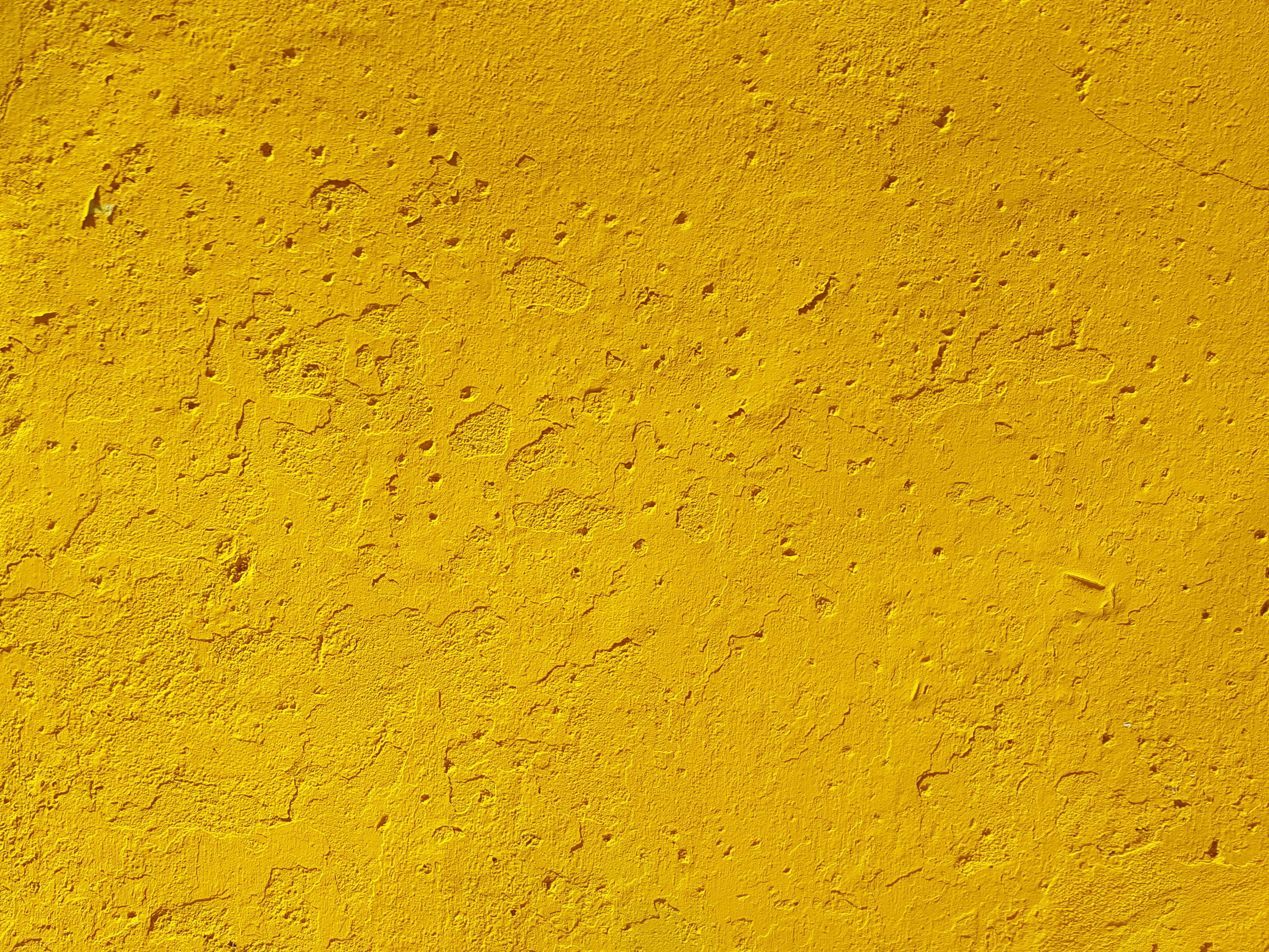 Photo by ben_everett