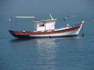 A colorful wooden boat floating on calm blue water with seagulls flying nearby. The boat has a red, blue, and white color scheme and features a small cabin with a canopy frame at the rear.