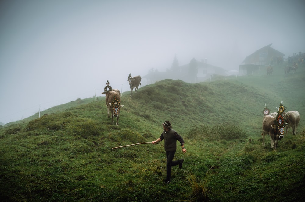 a group of people riding horses on top of a lush green hillside