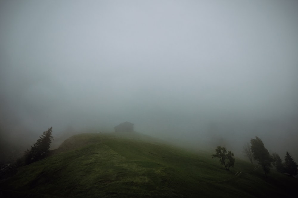 Una collina coperta di nebbia e alberi in una giornata nebbiosa