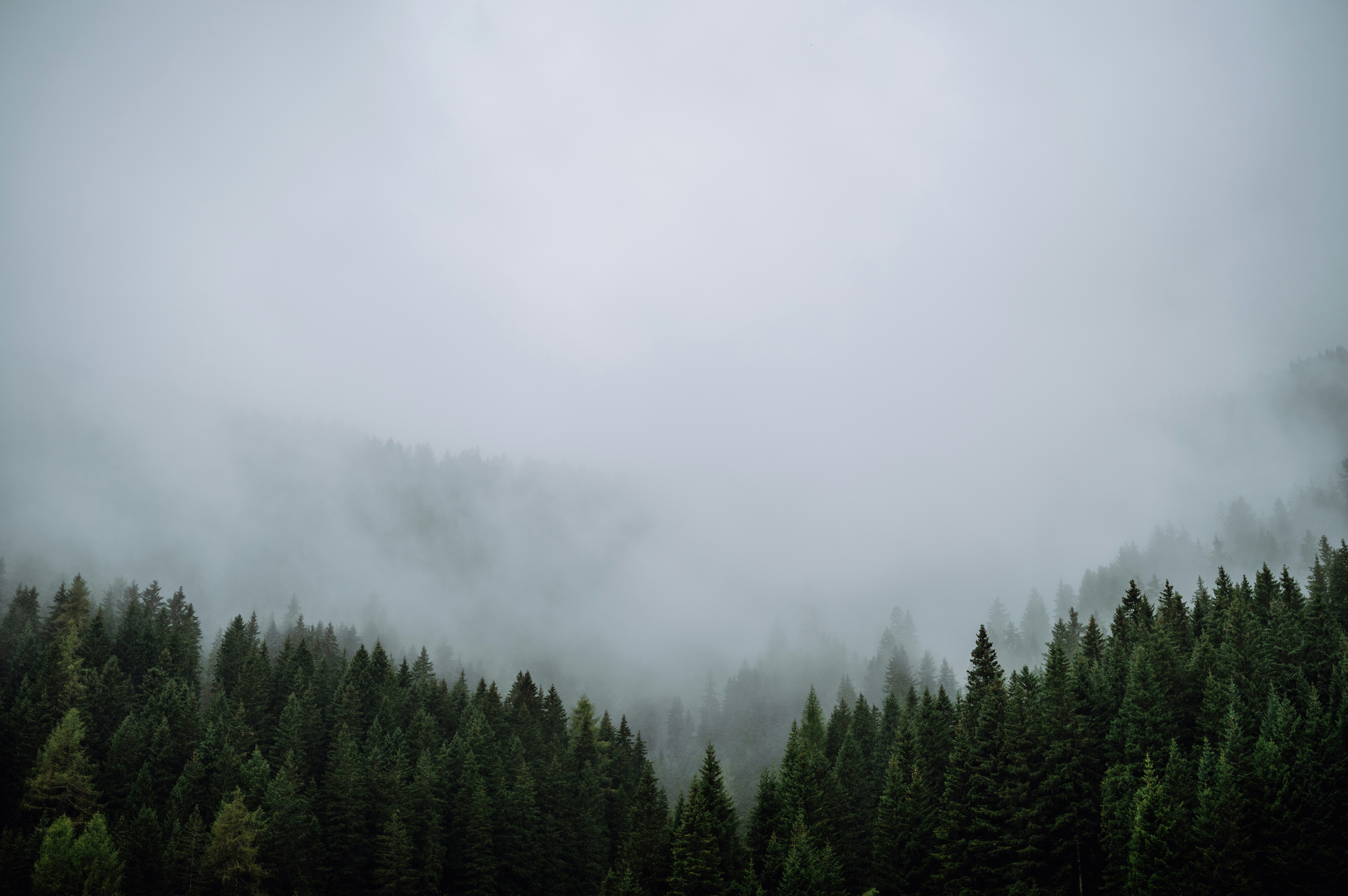 Photo by adrian_infernus